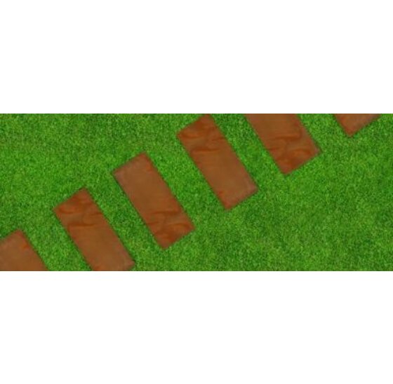 Cortenstaal stapsteen 250x600mm 2mm dik voor tuinpad