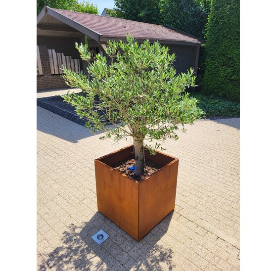 Vierkante Plantenbak 400x400x400 mm – Cortenstaal | Eenvoudige Montage