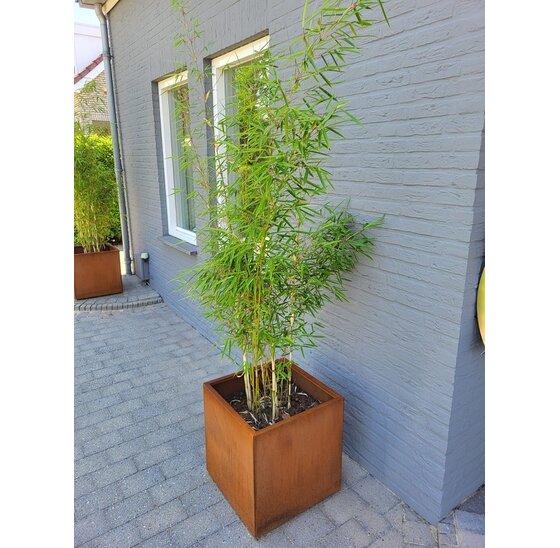 Vierkante Plantenbak 400x400x400 mm – Cortenstaal | Eenvoudige Montage