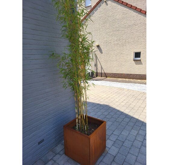 Vierkante Plantenbak 400x400x400 mm – Cortenstaal | Eenvoudige Montage