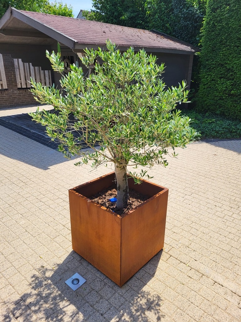 Rechthoekige Plantenbak 400x1200x400 mm – Cortenstaal | Eenvoudige Montage