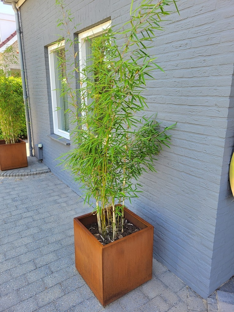 Rechthoekige Plantenbak 400x800x800 mm – Cortenstaal | Eenvoudige Montage