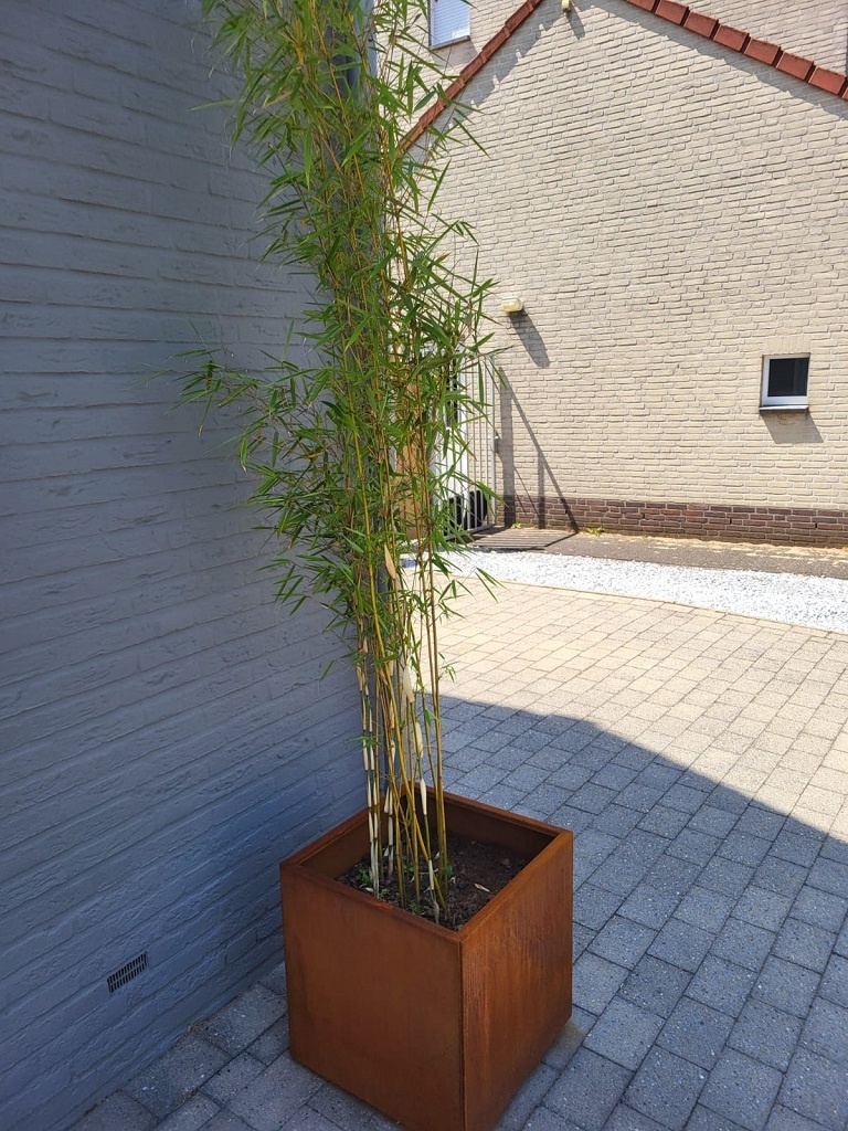 Rechthoekige Plantenbak 400x800x800 mm – Cortenstaal | Eenvoudige Montage