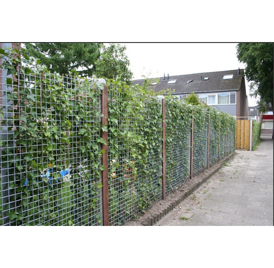 Gaaspaneel zwart 1800x1800 mm – staal met 100x100 mm maas en 4 mm draaddikte