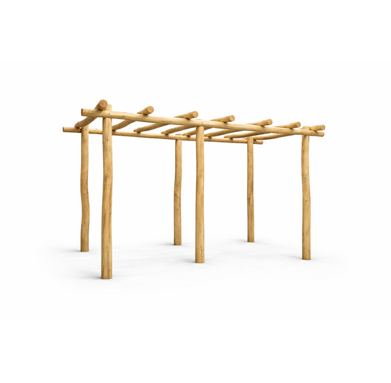 Robinia Pergola | Geschuurd | 300x400 cm