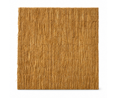 Rietplaat Aruba | Natuurlijke Privacy & Sfeer