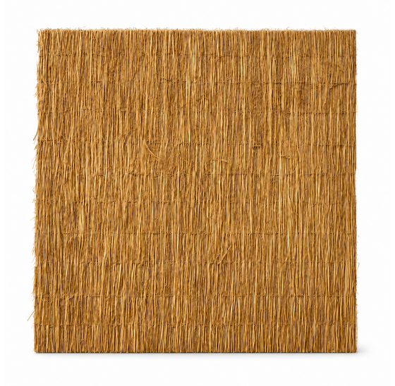 Rietplaat Aruba | Natuurlijke Privacy & Sfeer