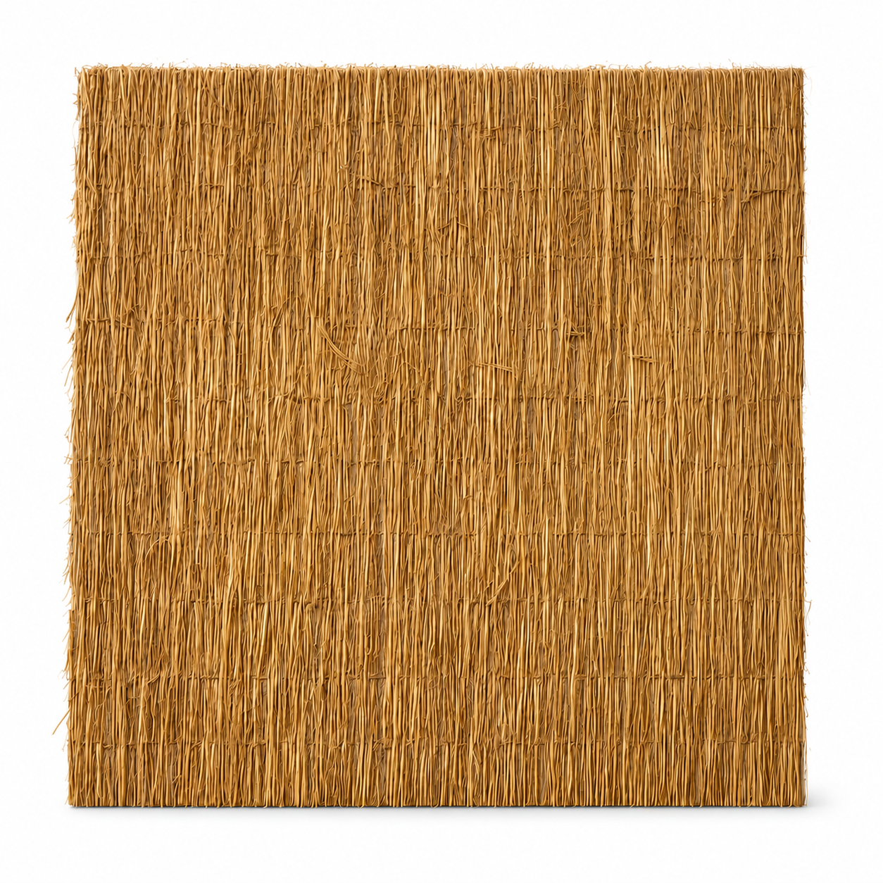 Rietplaat Aruba | Natuurlijke Privacy & Sfeer