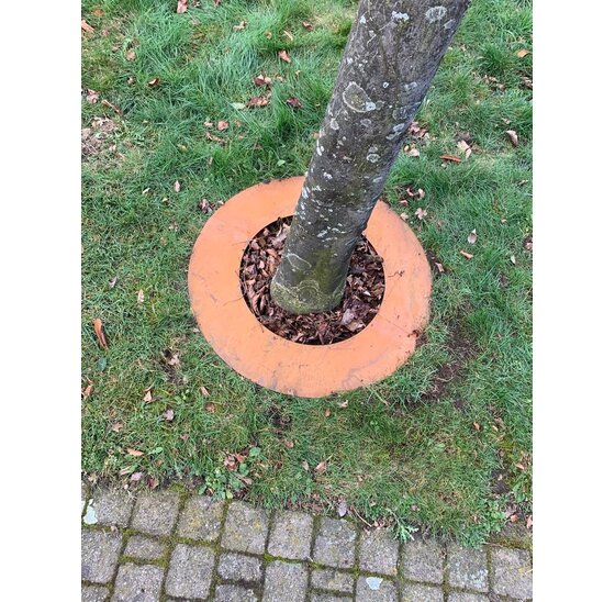 Boomring Ø500x100mm cortenStaal 2mm
