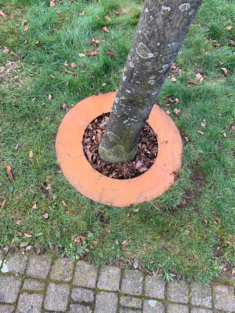 Boomring Ø500x100mm cortenStaal 2mm