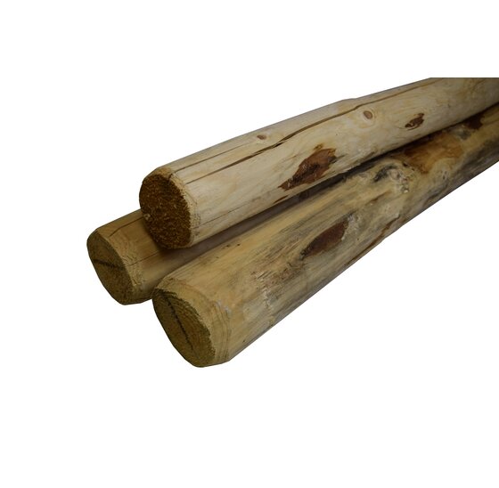 Geschilde gepunte paal 7 x 250 cm onbehandeld (70% PEFC)
