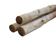 Kastanje paal gepunt 180 cm ø 8-10 cm, 70% PEFC gecertificeerd