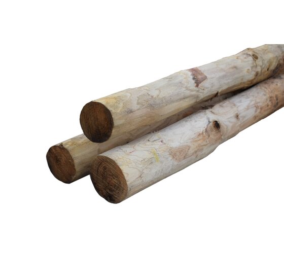Kastanje paal gepunt 200 cm ⌀ 8-10 cm, PEFC-gecertificeerd