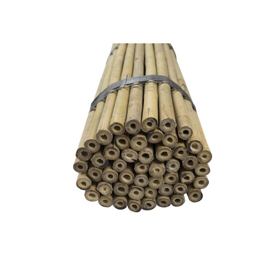 Tonkinstokken 91 cm, diameter 8-10 mm, bundel bamboe steunstokken