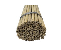 Tonkin bamboestokken 305 cm - 24/26 mm diameter - bundel 10 stuks