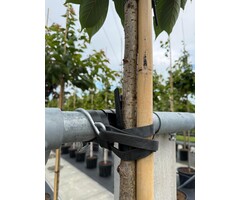 oester-openmes 25 cm met s-haak ostrei-fix