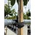 oester-openmes 25 cm met s-haak ostrei-fix