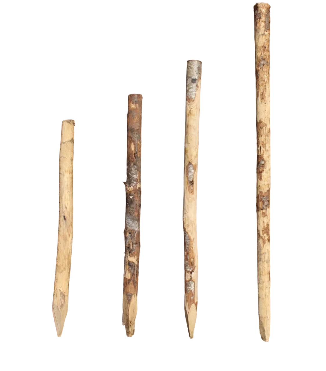 Kastanje paal gepunt Ø 6-8 cm, lengte 200 cm