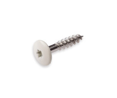 Standaard Schroeven - HPL schroef RVS-A2 TX-20 parelwit RAL 1013 4.8X25