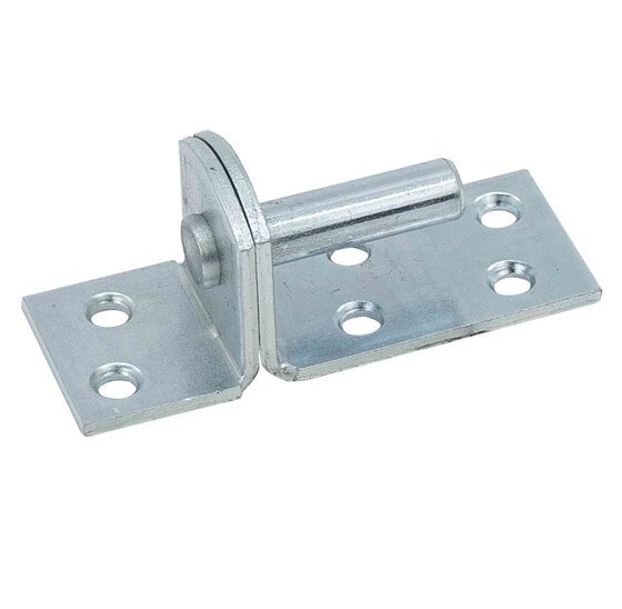 Wemekamp Hengen en duimen - Plaatduim verzinkt 38x5,0 MM Ø 13 MM