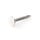 Eurofix Asfaltnagel Verzinkt 3.0x20mm (100gr)