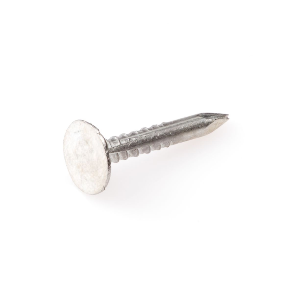 Wemekamp Eurofix Asfaltnagel Verzinkt 3.0x20mm (100gr)