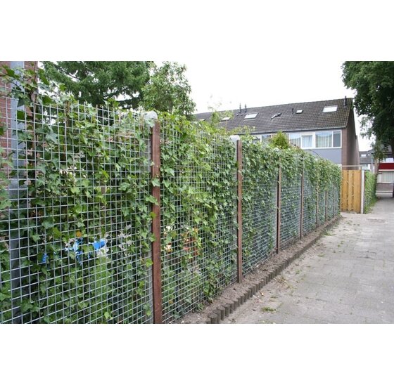 Wemekamp Gaaspaneel 90x180 cm Thermisch Verzinkt 4 mm Maas