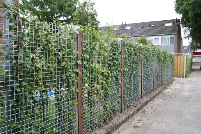 Wemekamp Gaaspaneel 90x180 cm Thermisch Verzinkt 4 mm Maas
