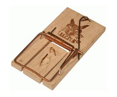 Muizenval Hout met Klep