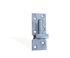 Overig - Plaatduim ø 20 mm 60x6 mm thermisch verzinkt