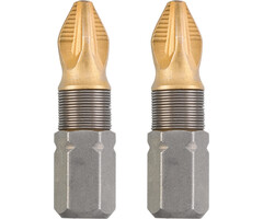 Overig - Titaan bits, 25 mm torx T40 2 st. kaart