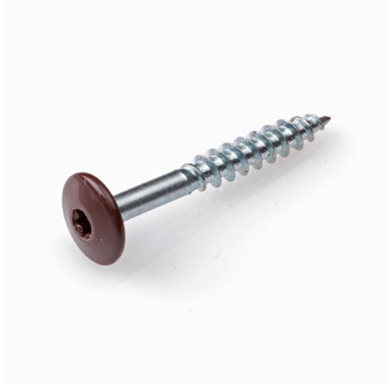HPL Schroef RVS-A2 TX-20 Chocoladebruin RAL