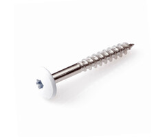 HPL schroef RVS-A2 TX-20 crémewit RAL 9001 4.8x50mm