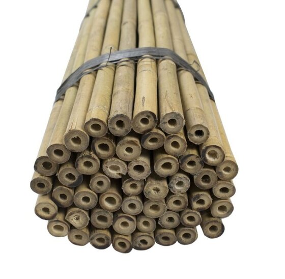 tonkinstokken bamboe 180 cm, 16-18 mm dik, 100 stuks