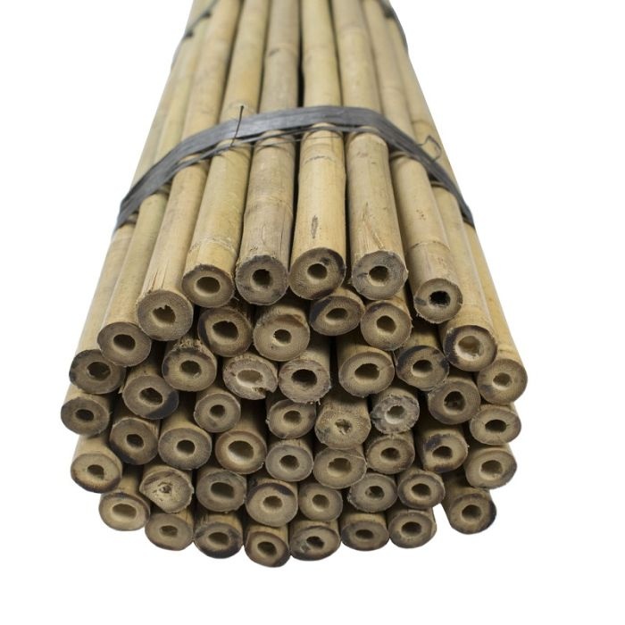 tonkinstokken bamboe 180 cm, 16-18 mm dik, 100 stuks