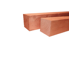 Douglas Palen Bezaagd – Diverse Maten