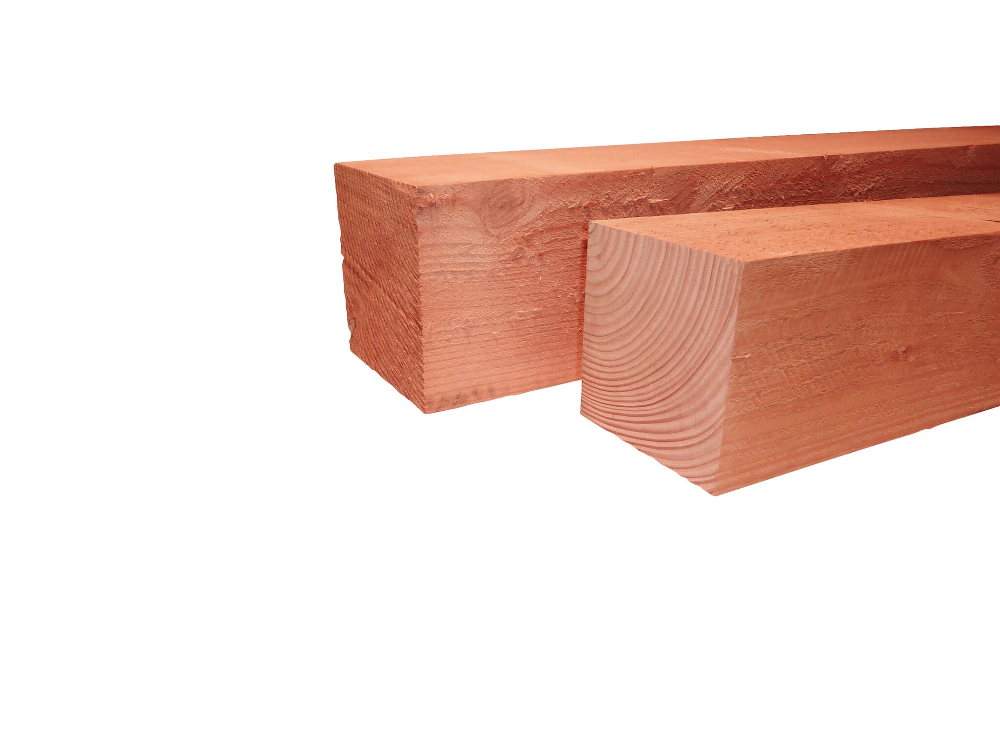 Douglas Palen Bezaagd – Diverse Maten