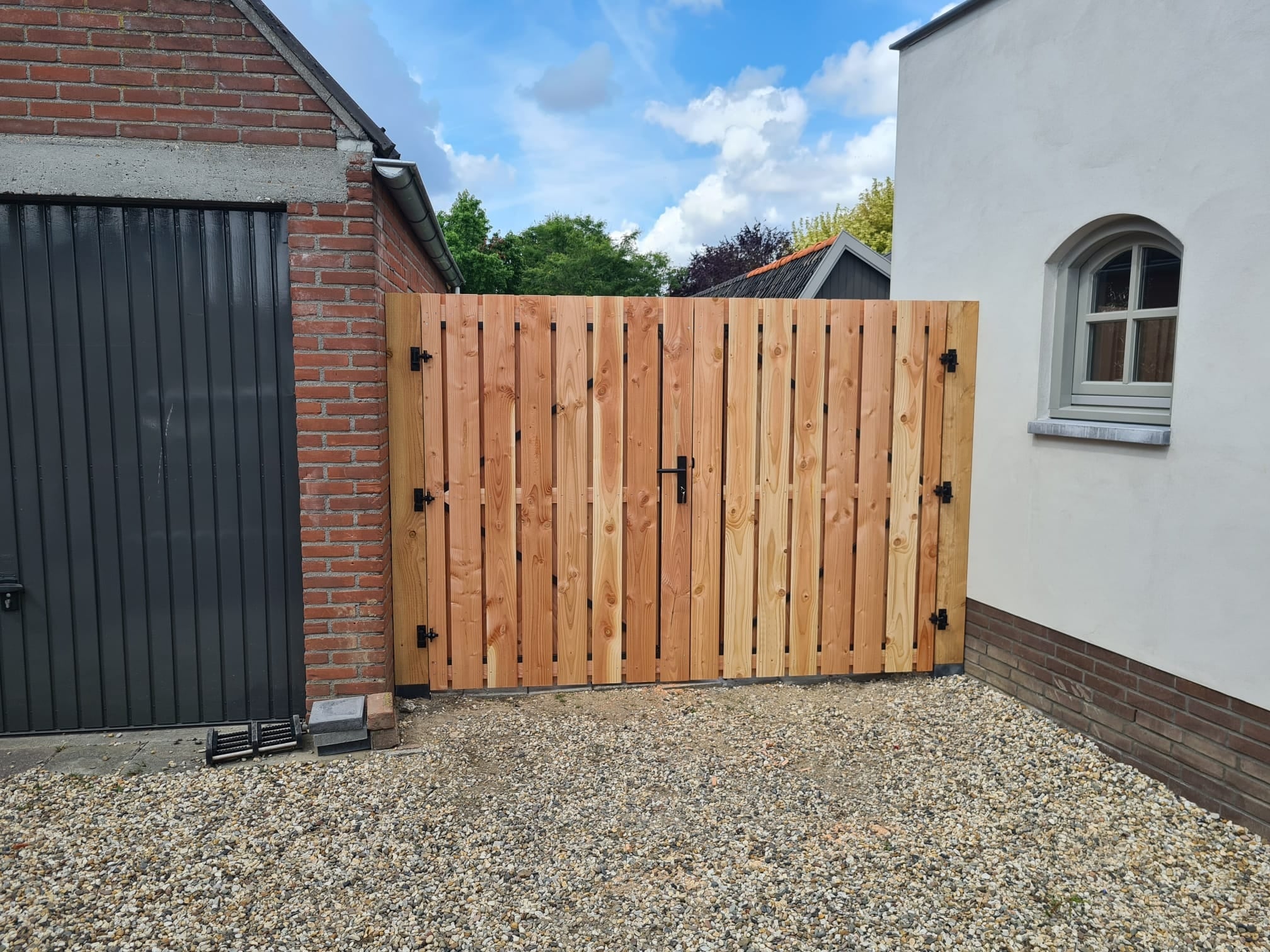 Douglas Palen Bezaagd – Diverse Maten