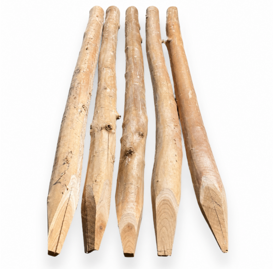 Hazelaarpalen Gepunt Ø 6-8 cm – 120/160/180 cm