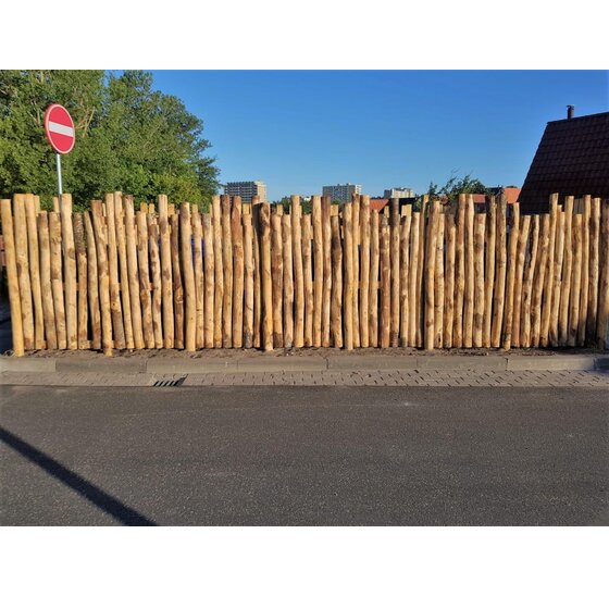 Kastanjepalen Gepunt Ø 12–14 cm | Diverse Lengtes