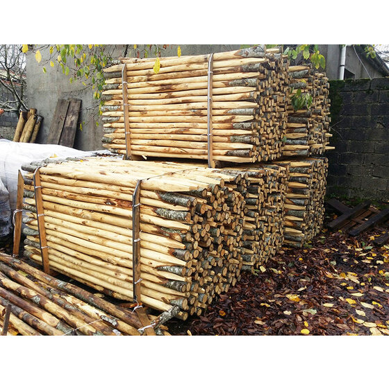 Kastanjepaal gepunt Ø 8–10 x 400 cm