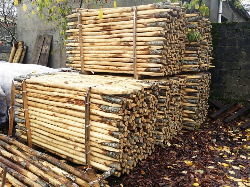Kastanjepaal gepunt Ø 8–10 x 400 cm