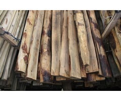 Kastanjepalen Halfrond – Diverse Maten