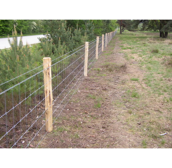 Robiniapalen geschild Ø 12–14 cm – diverse lengtes