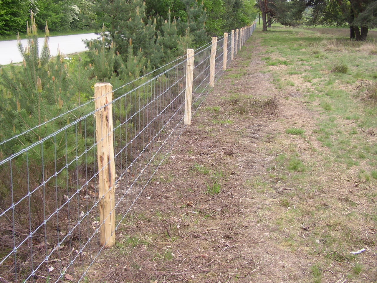 Robiniapalen geschild Ø 12–14 cm – diverse lengtes
