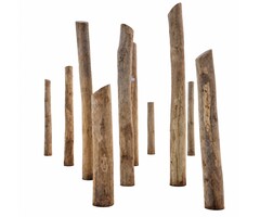 Robiniapalen Spintvrij Geschuurd Ø 16-19 cm | Diverse Lengtes