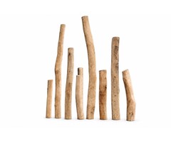 Robiniapalen Spintvrij Geschuurd Ø 10-12 cm | Diverse Lengtes