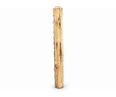 Robiniapalen geschild Ø 12–14 cm – diverse lengtes