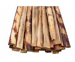 Kastanjepalen Halfrond – Diverse Maten