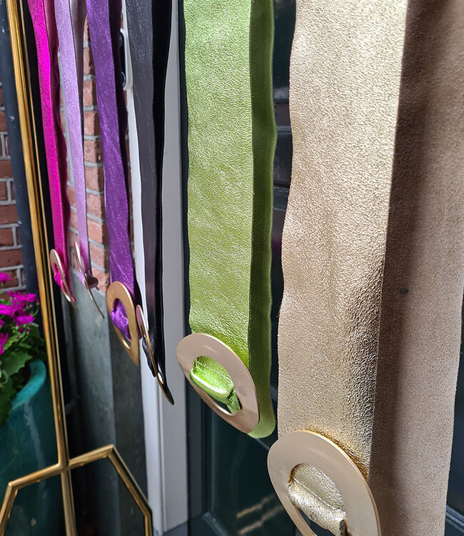 Riemen Brede Band Goud Gesp Shimmer